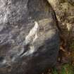 Digital photograph of close ups of motifs, Scotland's Rock Art Project, Rogie Farm 17, Highland