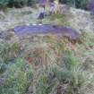 Digital photograph of panel to east, Scotland's Rock Art Project, Rogie Farm 17, Highland