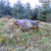 Digital photograph of panel to north, Scotland's Rock Art Project, Rogie Farm 17, Highland