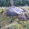 Digital photograph of panel to south, Scotland's Rock Art Project, Rogie Farm 17, Highland