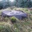 Digital photograph of panel to west, Scotland's Rock Art Project, Rogie Farm 17, Highland