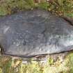 Digital photograph of perpendicular to carved surface(s), Scotland's Rock Art Project, Rogie Farm 17, Highland