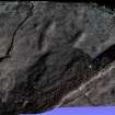 Snapshot of 3D model, Scotland's Rock Art Project, Rogie Farm 19, Highland