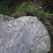 Digital photograph of perpendicular to carved surface(s), from Scotland's Rock Art Project, Rogie Farm 77, Highland