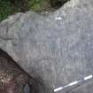 Digital photograph of perpendicular to carved surface(s), from Scotland's Rock Art Project, Rogie Farm 77, Highland