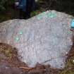 Digital photograph of rock art panel context, Scotland's Rock Art Project, Rogie Farm 77, Highland