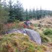 Digital photograph of rock art panel context, Scotland's Rock Art Project, Rogie Upper 16, Highland