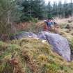 Digital photograph of panel to south, from Scotland's Rock Art Project, Rogie Upper 16, Highland