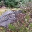 Digital photograph of panel to north, from Scotland's Rock Art Project, Rogie Upper 16, Highland