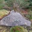 Digital photograph of panel to east, from Scotland's Rock Art Project, Rogie Upper 16, Highland