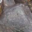 Digital photograph of perpendicular to carved surface(s), from Scotland's Rock Art Project, Rogie Upper 16, Highland