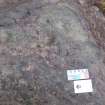 Digital photograph of close ups of motifs, from Scotland's Rock Art Project, Rogie Upper 16, Highland