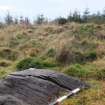 Digital photograph of panel to west, from Scotland's Rock Art Project, Rogie Upper 16, Highland