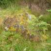 Digital photograph of panel before cleaning, from Scotland's Rock Art Project, Rogie Upper 16, Highland