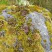 Digital photograph of rock art panel context, Scotland's Rock Art Project, Rogie Upper 16, Highland