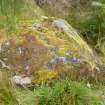 Digital photograph of rock art panel context, Scotland's Rock Art Project, Rogie Upper 16, Highland