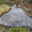 Digital photograph of rock art panel context, Scotland's Rock Art Project, Rogie Upper 16, Highland