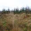 Digital photograph of panorama, from Scotland's Rock Art Project, Rogie Upper 16, Highland