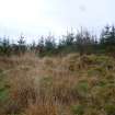 Digital photograph of rock art panel context, Scotland's Rock Art Project, Rogie Upper 16, Highland