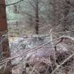 Digital photograph of panel to south, from Scotland's Rock Art Project, Rogie Upper 39, Highland