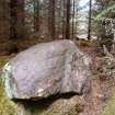 Digital photograph of panel to west, from Scotland's Rock Art Project, Rogie Upper 39, Highland