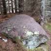 Digital photograph of panel to north, from Scotland's Rock Art Project, Rogie Upper 39, Highland