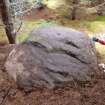 Digital photograph of panel to east, from Scotland's Rock Art Project, Rogie Upper 39, Highland