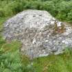 Digital photograph of panel to west, Scotland's Rock Art Project, Strath Sgitheach Allt na Criche 1, Highland