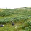 Digital photograph of panorama, Scotland's Rock Art Project, Strath Sgitheach Allt na Criche 1, Highland