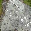 Digital photograph of perpendicular to carved surface(s), Scotland's Rock Art Project, Strath Sgitheach Allt na Criche 1, Highland