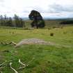 Digital photograph of panel to south, Scotland's Rock Art Project, Strath Sgitheach Allt na Criche 2, Highland