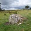 Digital photograph of panel to west, Scotland's Rock Art Project, Strath Sgitheach Allt na Criche 2, Highland