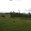 Digital photograph of panorama, Scotland's Rock Art Project, Strath Sgitheach Allt na Criche 2, Highland