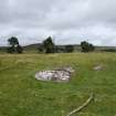 Digital photograph of rock art panel context, Scotland's Rock Art Project, Strath Sgitheach Allt na Criche 3, Highland