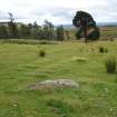 Digital photograph of panel to south, from Scotland's Rock Art Project, Strath Sgitheach Allt Na Criche 3, Highland