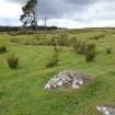 Digital photograph of panel to west, from Scotland's Rock Art Project, Strath Sgitheach Allt Na Criche 3, Highland