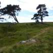 Digital photograph of rock art panel context, Scotland's Rock Art Project, Strath Sgitheach Allt na Criche 6, Highland