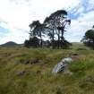 Digital photograph of rock art panel context, Scotland's Rock Art Project, Strath Sgitheach Allt na Criche 6, Highland