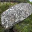 Digital photograph of rock art panel context, Scotland's Rock Art Project, Strath Sgitheach Allt na Criche 7, Highland