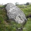 Digital photograph of panel to east, from Scotland's Rock Art Project, Strath Sgitheach Allt Na Criche 7, Highland