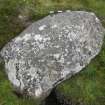 Digital photograph of panel, from Scotland's Rock Art Project, Strath Sgitheach Allt Na Criche 7, Highland