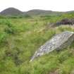 Digital photograph of panel in context without scale, from Scotland's Rock Art Project, Strath Sgitheach Allt Na Criche 7, Highland