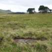 Digital photograph of panel to south, from Scotland's Rock Art Project, Strath Sgitheach Allt Na Criche 8, Highland