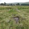 Digital photograph of panel to east, from Scotland's Rock Art Project, Strath Sgitheach Allt Na Criche 8, Highland