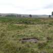 Digital photograph of panel to south, from Scotland's Rock Art Project, Strath Sgitheach Allt Na Criche 8, Highland