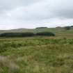 Digital photograph of rock art panel context, Scotland's Rock Art Project, Strath Sgitheach Allt na Criche 8, Highland