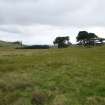 Digital photograph of rock art panel context, Scotland's Rock Art Project, Strath Sgitheach Allt na Criche 8, Highland