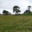 Digital photograph of rock art panel context, Scotland's Rock Art Project, Strath Sgitheach Allt na Criche 8, Highland