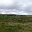 Digital photograph of rock art panel context, Scotland's Rock Art Project, Strath Sgitheach Allt na Criche 8, Highland