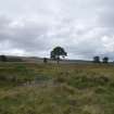 Digital photograph of rock art panel context, Scotland's Rock Art Project, Strath Sgitheach Allt na Criche 8, Highland